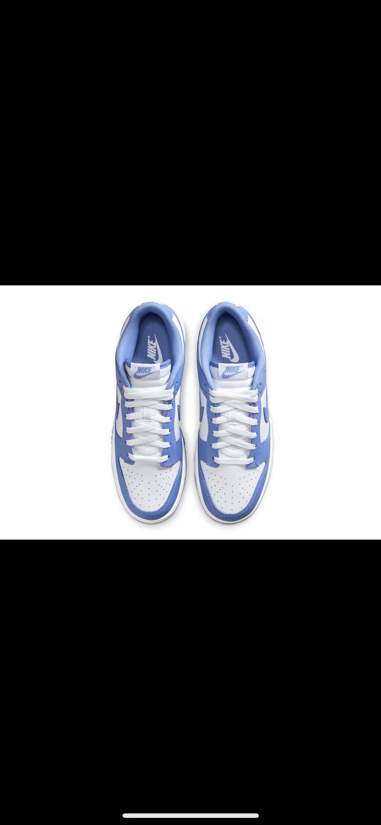 Nike dunk polar blue
