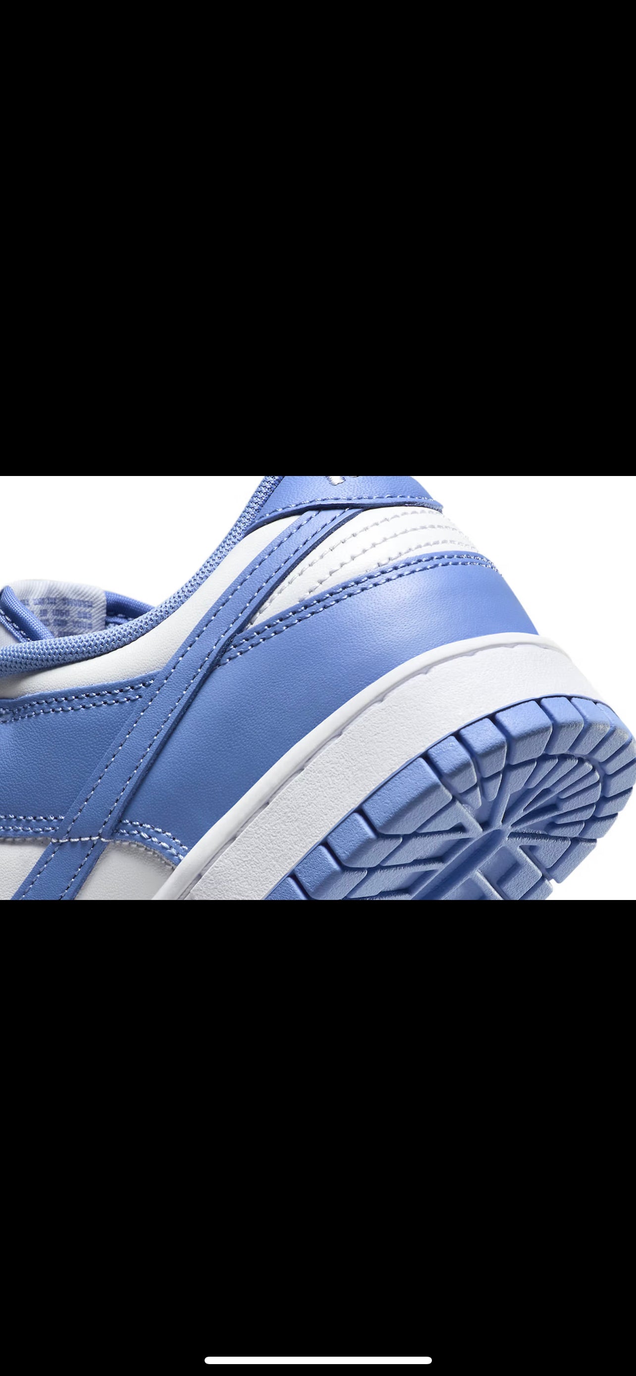 Nike dunk polar blue